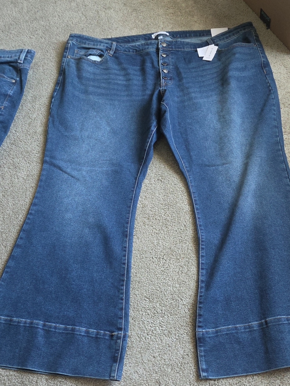 Lane Bryant Dark Blue Flare Jeans